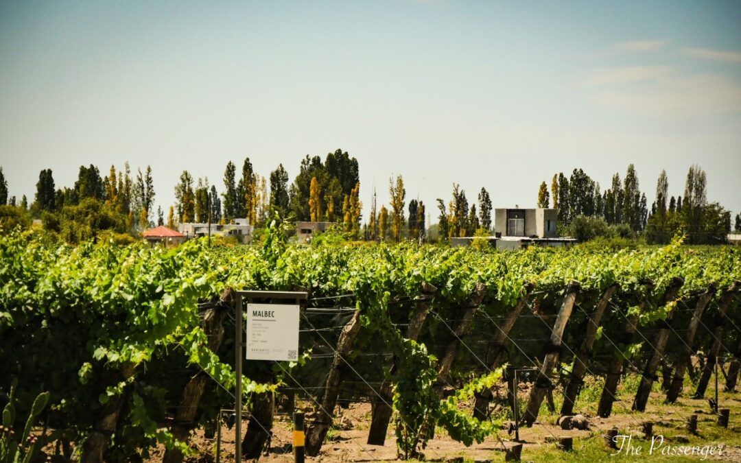 De Ushuaïa à Mendoza