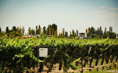 De Ushuaïa à Mendoza