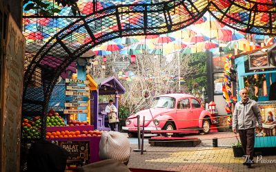 Istanbul – Delhi